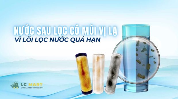 Nước sau lọc có mùi vị lạ