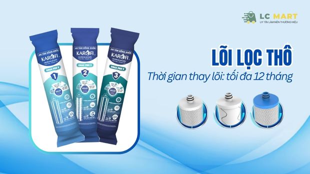 Lõi lọc thô